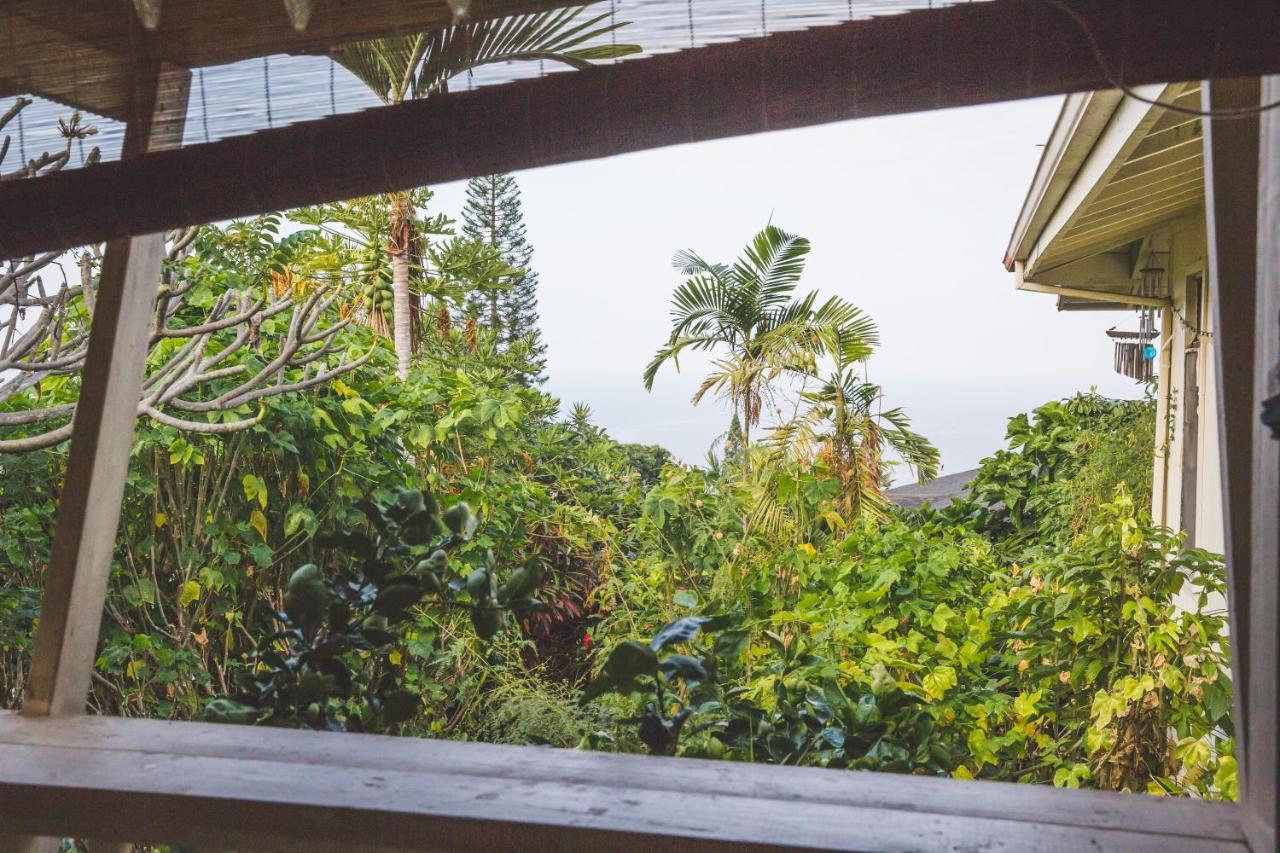 Kona Hawaii Guest House A Unique Hawaii Experience Keauhou Екстериор снимка