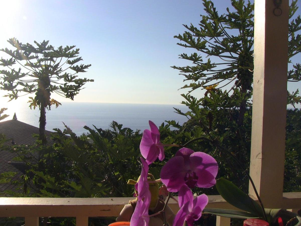 Kona Hawaii Guest House A Unique Hawaii Experience Keauhou Екстериор снимка