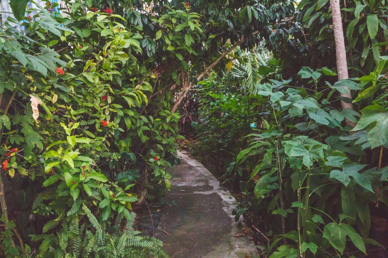 Kona Hawaii Guest House A Unique Hawaii Experience Keauhou Екстериор снимка