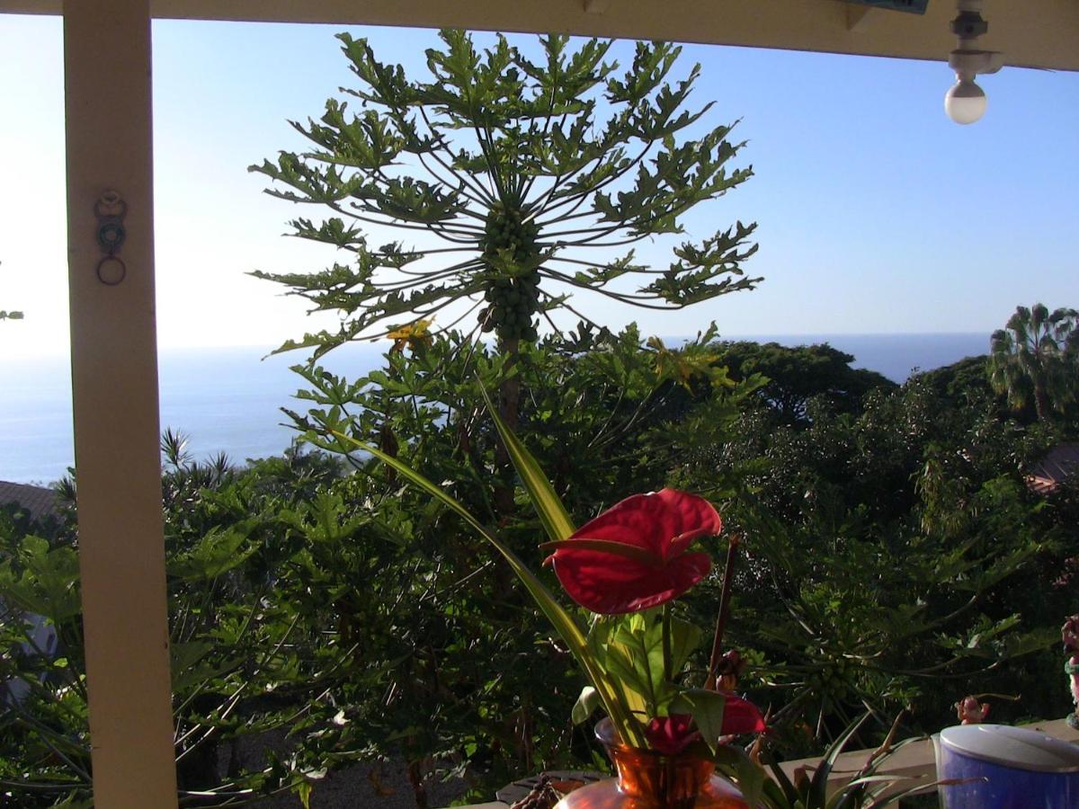 Kona Hawaii Guest House A Unique Hawaii Experience Keauhou Екстериор снимка