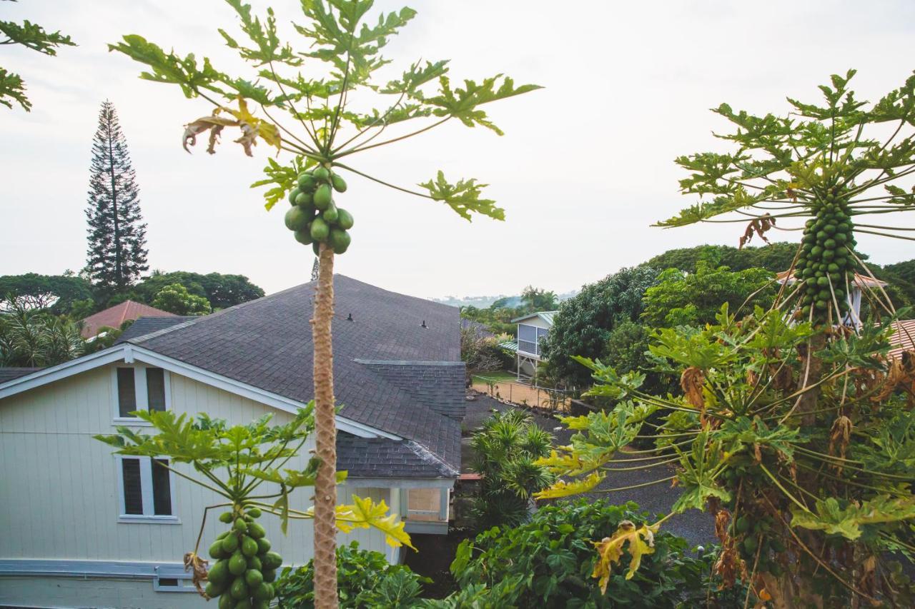 Kona Hawaii Guest House A Unique Hawaii Experience Keauhou Екстериор снимка