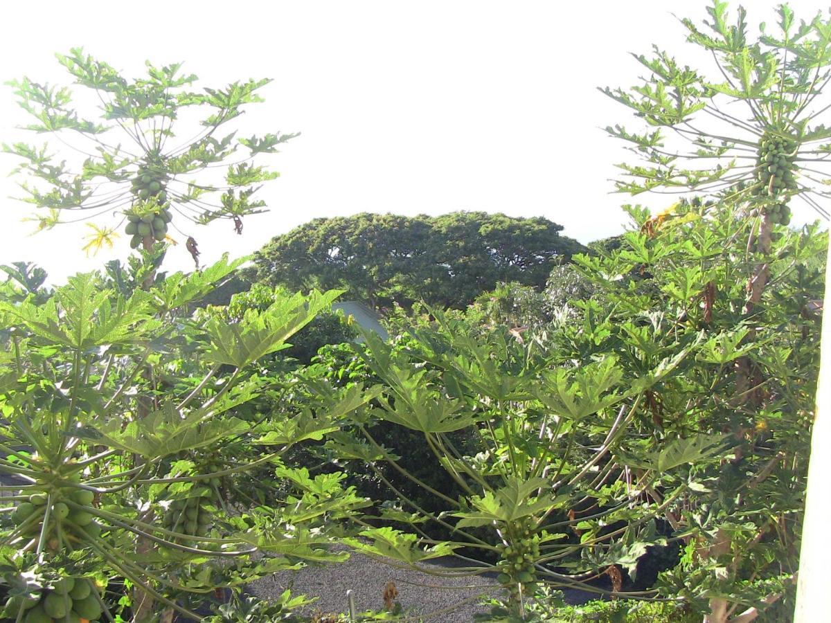 Kona Hawaii Guest House A Unique Hawaii Experience Keauhou Екстериор снимка