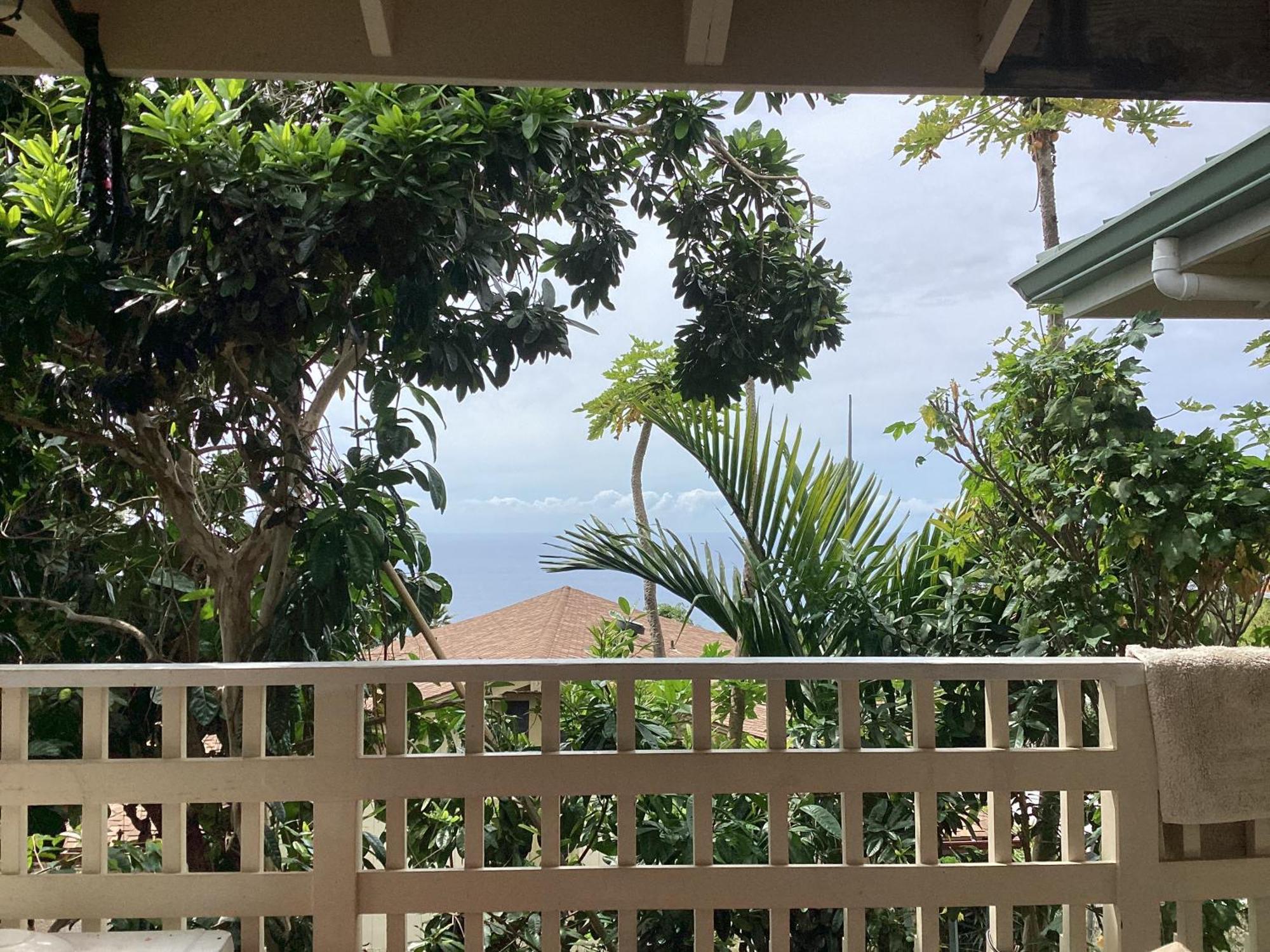 Kona Hawaii Guest House A Unique Hawaii Experience Keauhou Екстериор снимка