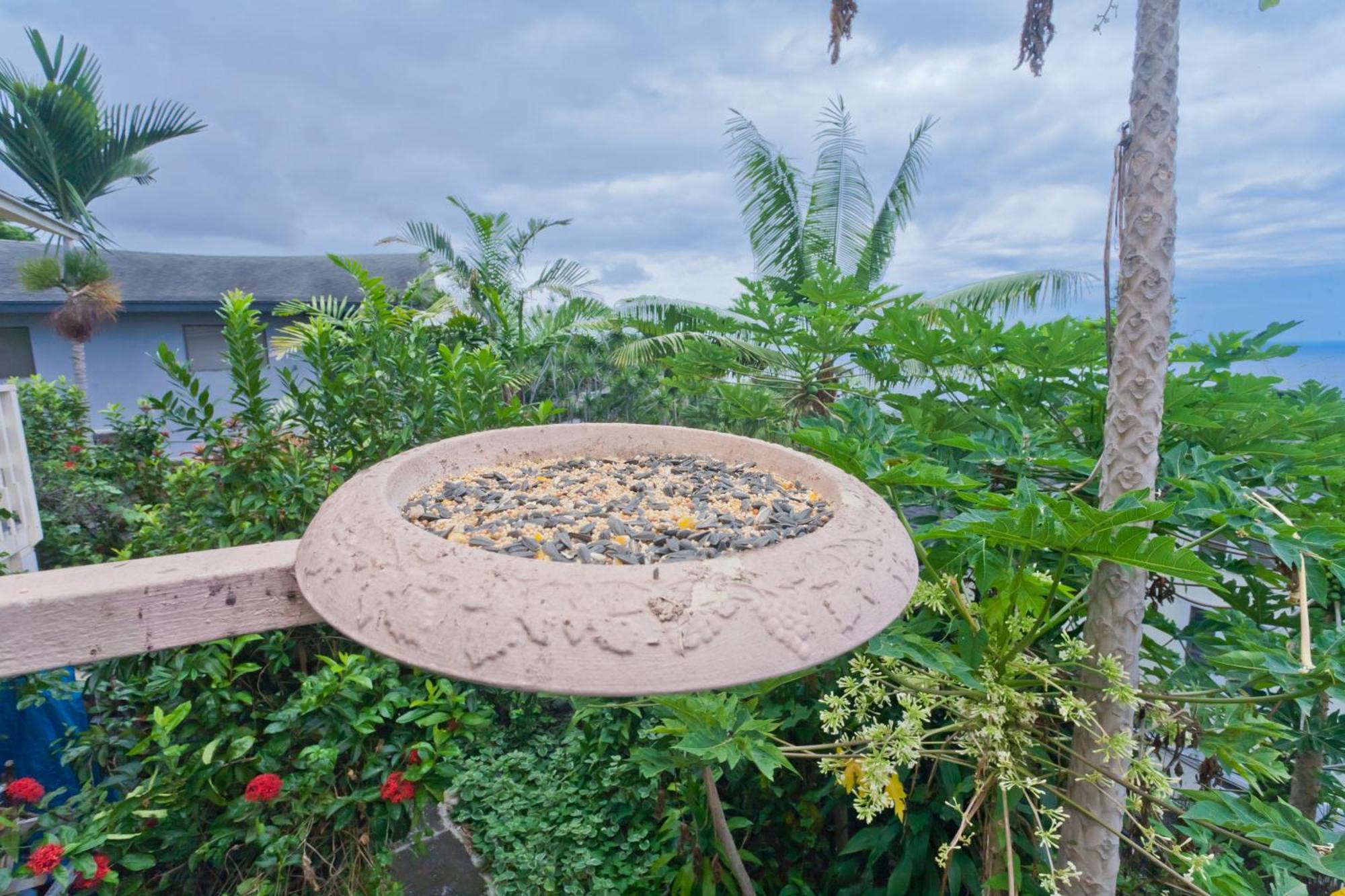 Kona Hawaii Guest House A Unique Hawaii Experience Keauhou Екстериор снимка